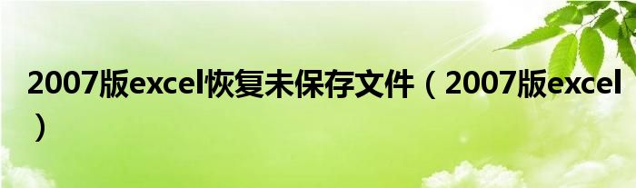 2007版excel恢复未保存文件（2007版excel）