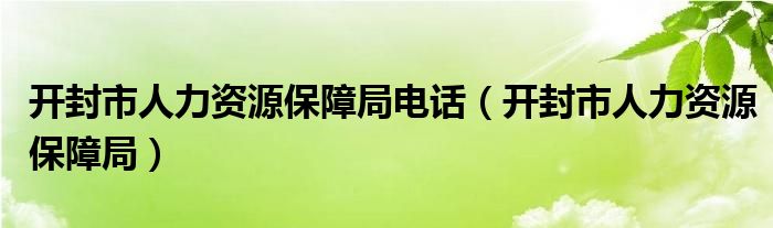 开封市人力资源保障局电话（开封市人力资源保障局）