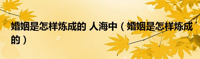婚姻是怎样炼成的 人海中（婚姻是怎样炼成的）