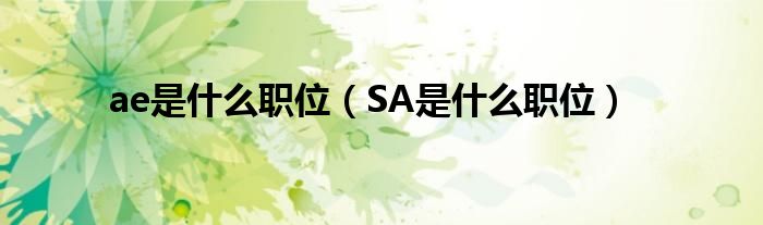 ae是什么职位（SA是什么职位）