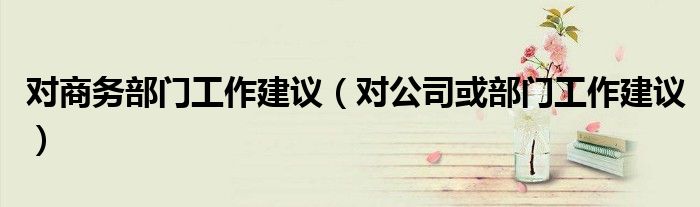 对商务部门工作建议（对公司或部门工作建议）