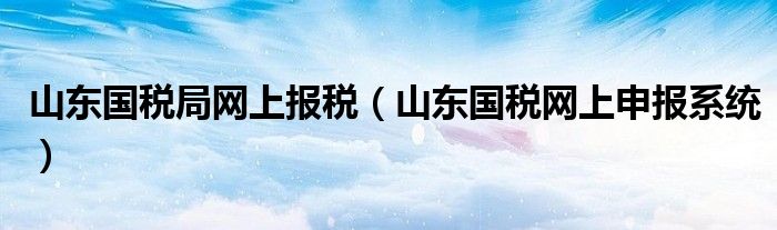 山东国税局网上报税（山东国税网上申报系统）