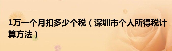 1万一个月扣多少个税（深圳市个人所得税计算方法）