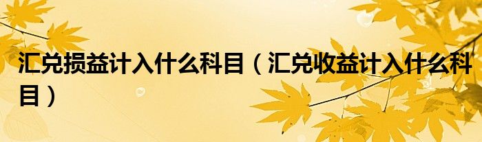 汇兑损益计入什么科目（汇兑收益计入什么科目）