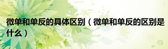 微单和单反的具体区别（微单和单反的区别是什么）