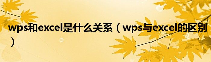 wps和excel是什么关系（wps与excel的区别）