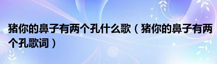 猪你的鼻子有两个孔什么歌（猪你的鼻子有两个孔歌词）