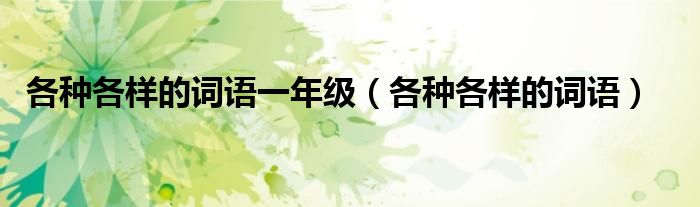 各种各样的词语一年级（各种各样的词语）