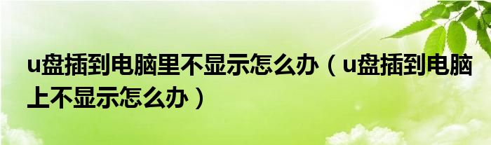 u盘插到电脑里不显示怎么办（u盘插到电脑上不显示怎么办）
