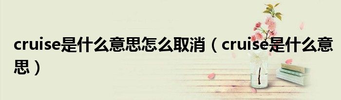 cruise是什么意思怎么取消（cruise是什么意思）