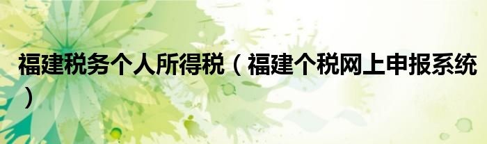 福建税务个人所得税（福建个税网上申报系统）
