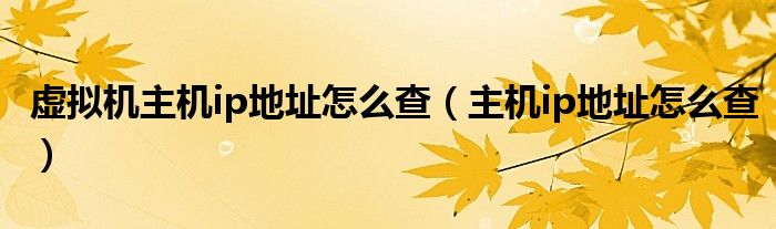 虚拟机主机ip地址怎么查（主机ip地址怎么查）