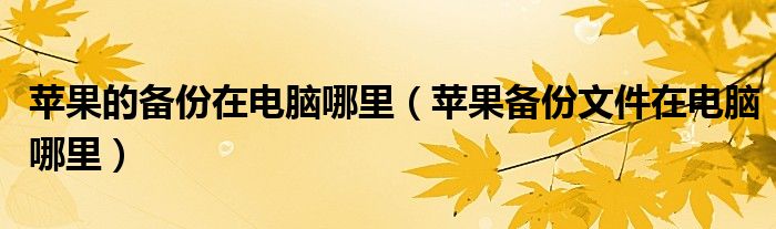 苹果的备份在电脑哪里（苹果备份文件在电脑哪里）