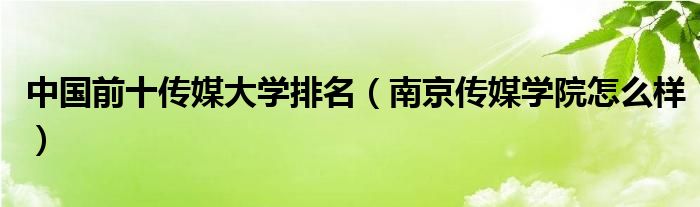 中国前十传媒大学排名（南京传媒学院怎么样）