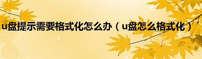 u盘提示需要格式化怎么办（u盘怎么格式化）