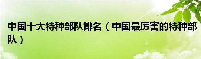 中国十大特种部队排名（中国最厉害的特种部队）