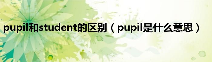pupil和student的区别（pupil是什么意思）
