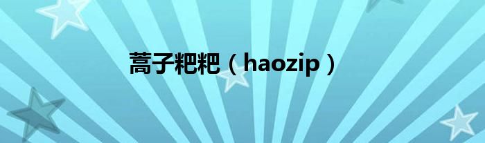 蒿子粑粑（haozip）