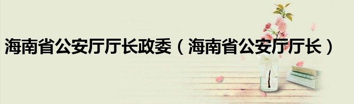 海南省公安厅厅长政委（海南省公安厅厅长）