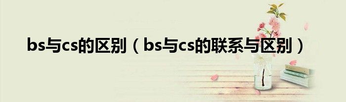 bs与cs的区别（bs与cs的联系与区别）