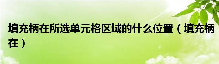 填充柄在所选单元格区域的什么位置（填充柄在）
