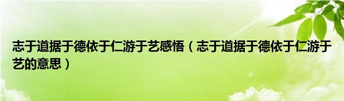 志于道据于德依于仁游于艺感悟（志于道据于德依于仁游于艺的意思）