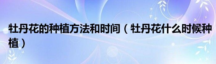 牡丹花的种植方法和时间（牡丹花什么时候种植）