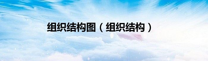 组织结构图（组织结构）
