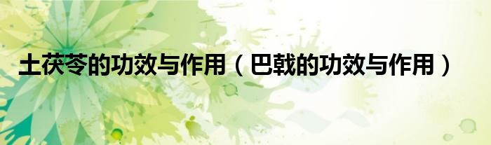 土茯苓的功效与作用（巴戟的功效与作用）