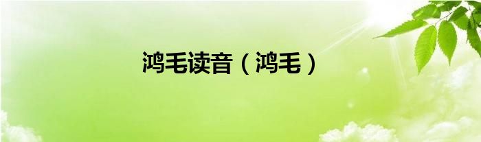 鸿毛读音（鸿毛）