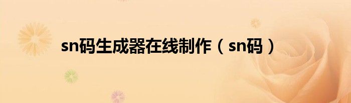 sn码生成器在线制作（sn码）