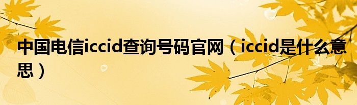 中国电信iccid查询号码官网（iccid是什么意思）