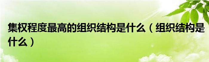 集权程度最高的组织结构是什么（组织结构是什么）