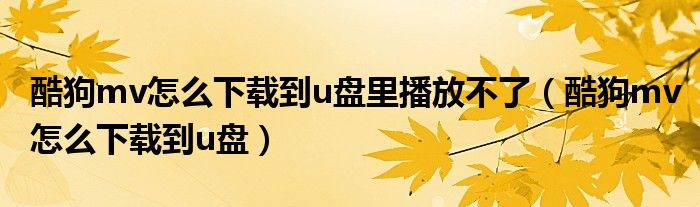 酷狗mv怎么下载到u盘里播放不了（酷狗mv怎么下载到u盘）