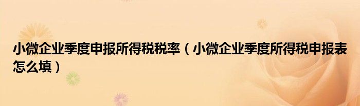 小微企业季度申报所得税税率（小微企业季度所得税申报表怎么填）