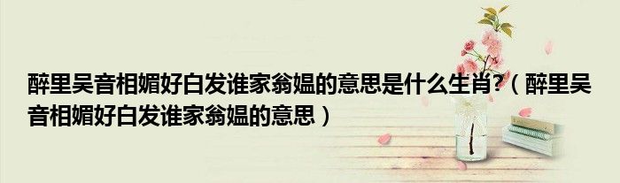 醉里吴音相媚好白发谁家翁媪的意思是什么生肖?（醉里吴音相媚好白发谁家翁媪的意思）