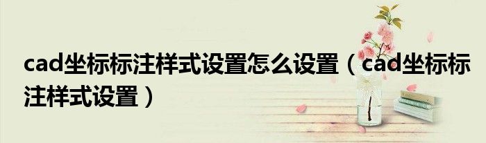 cad坐标标注样式设置怎么设置（cad坐标标注样式设置）