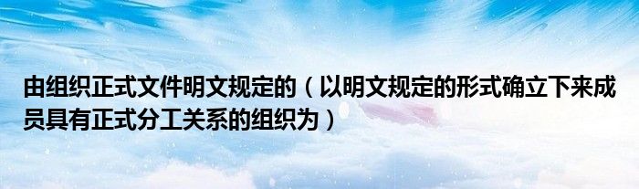 由组织正式文件明文规定的（以明文规定的形式确立下来成员具有正式分工关系的组织为）