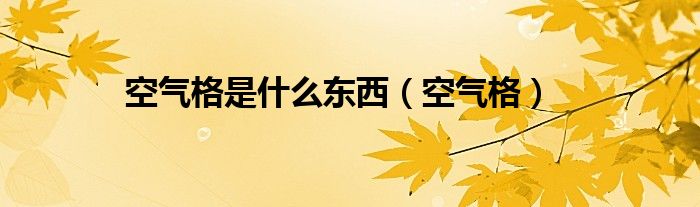 空气格是什么东西（空气格）