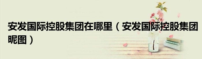 安发国际控股集团在哪里（安发国际控股集团昵图）