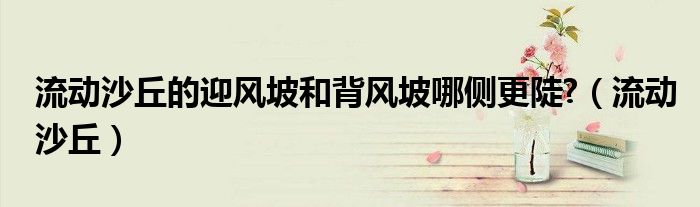 流动沙丘的迎风坡和背风坡哪侧更陡?（流动沙丘）