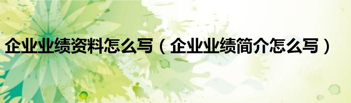 企业业绩资料怎么写（企业业绩简介怎么写）