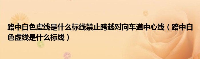 路中白色虚线是什么标线禁止跨越对向车道中心线（路中白色虚线是什么标线）