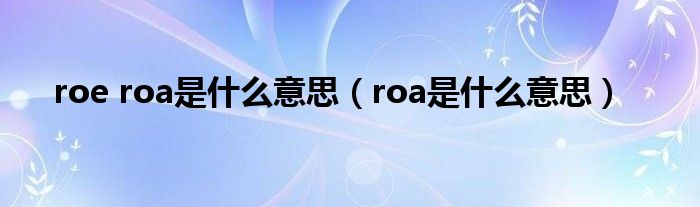 roe roa是什么意思（roa是什么意思）