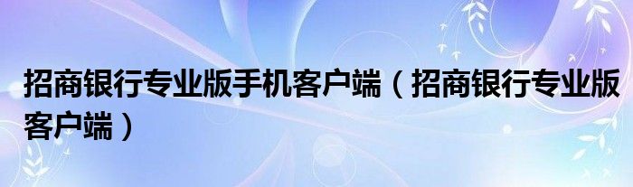 招商银行专业版手机客户端（招商银行专业版客户端）