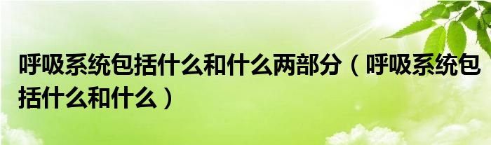 呼吸系统包括什么和什么两部分（呼吸系统包括什么和什么）