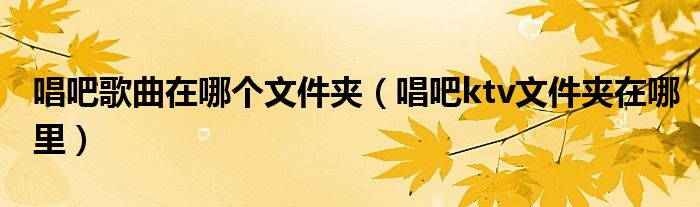 唱吧歌曲在哪个文件夹（唱吧ktv文件夹在哪里）