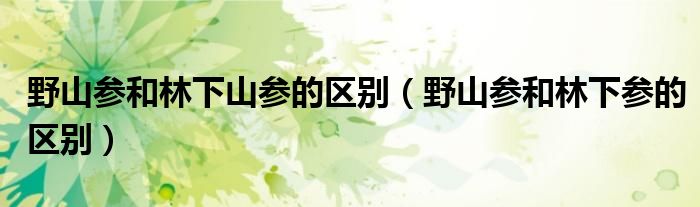 野山参和林下山参的区别（野山参和林下参的区别）
