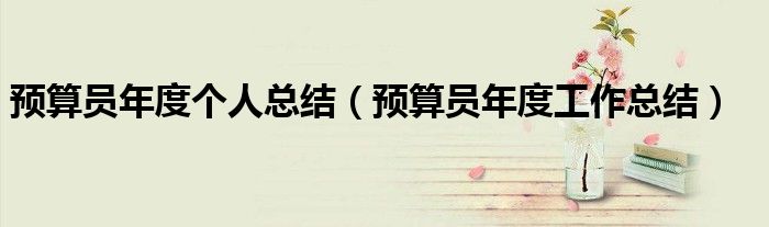 预算员年度个人总结（预算员年度工作总结）