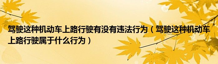 驾驶这种机动车上路行驶有没有违法行为（驾驶这种机动车上路行驶属于什么行为）